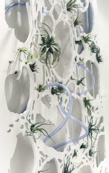 Close view of a white organic-shaped wall with wholes and green plants growing out of it with transparent plastic tubes.