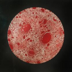 An abstract painting showing variously sized red dots with white highlights on a light red ground.