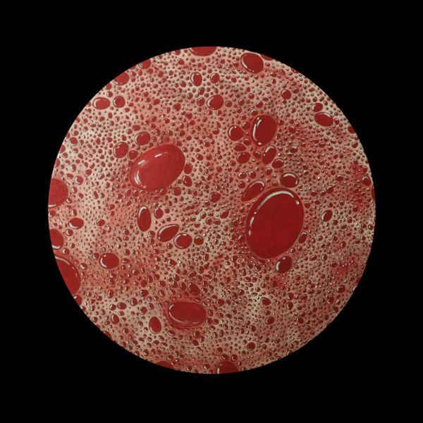 This is a painting of Blood seen through a microscope. It is bright red, and looks like water droplets.