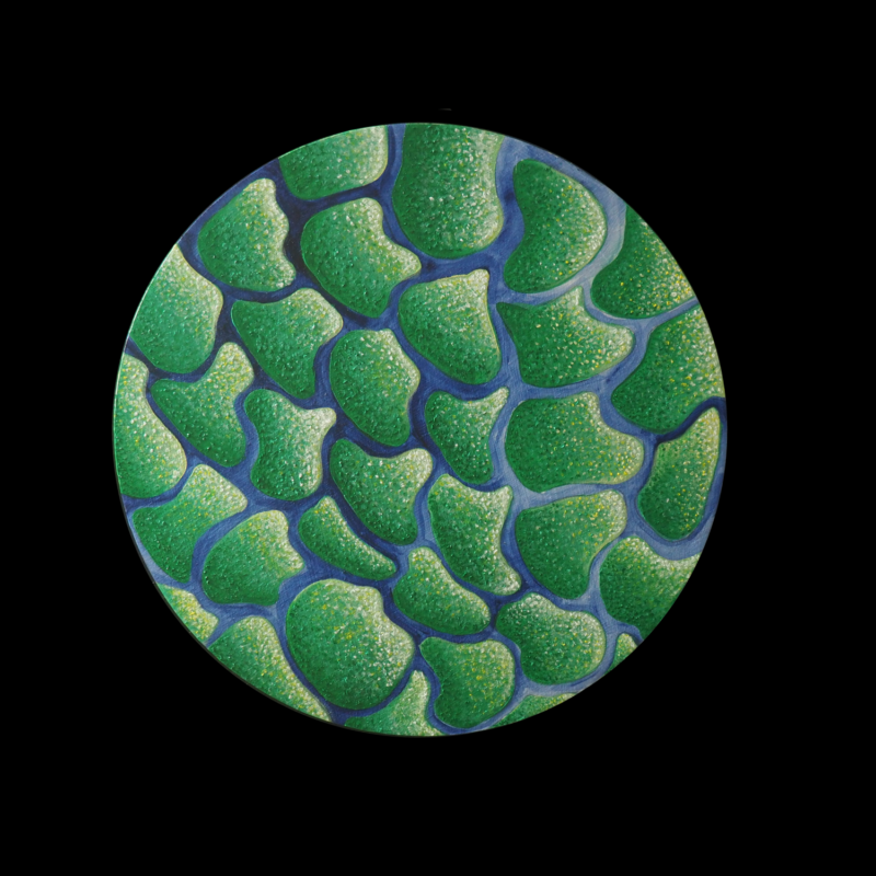 This painting is green and blue, and resembles larger cell structures. It looks like green rocks in shallow blue water.