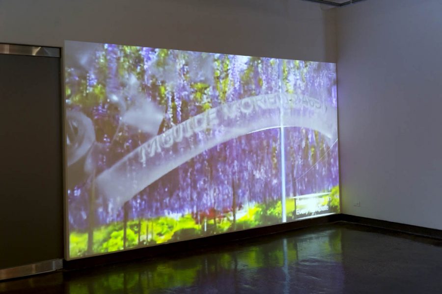 An image projection on a wall with a transparent tube, green material at the bottom, and violet background