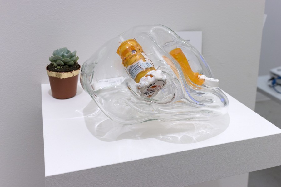 A rounded-shaped glass with organic shapes has a couple of drug containers and a green plant.