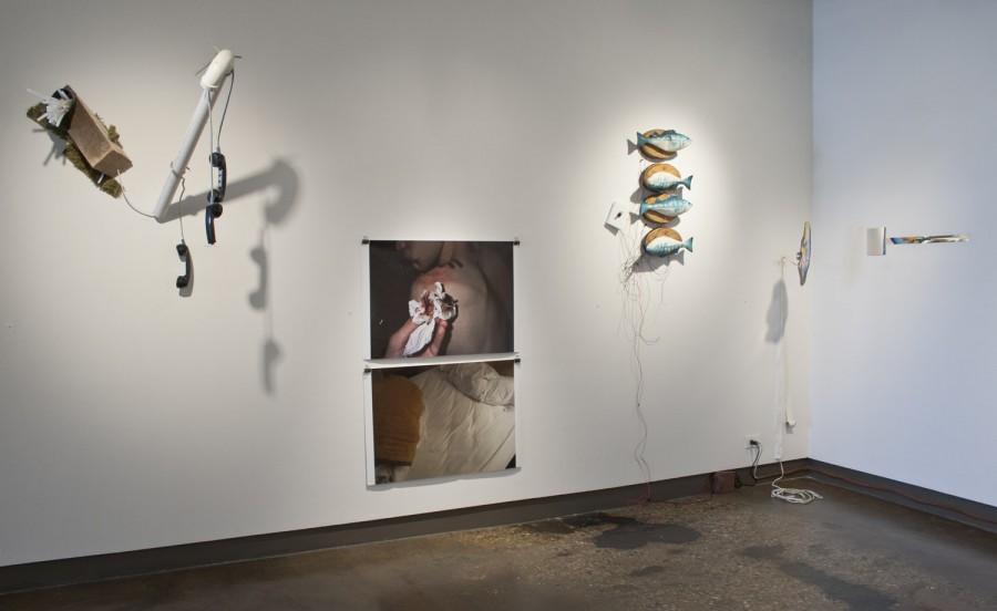 Installation view of fishes sculptures, two prints and other sculptures mounted on the wall.