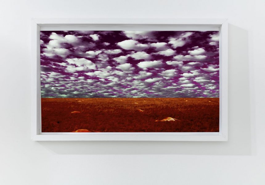 Photograph of a purple sky with white clouds over a red landscape in a white frame.