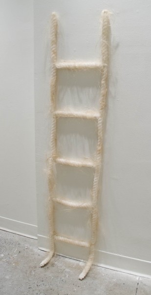 A view of the "Ladder" made of wax and human hair by Emily Palmer