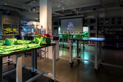 Bio lab with tables that have green pieces on top and magenta flowers, with a screen that has a cactus projected on it.