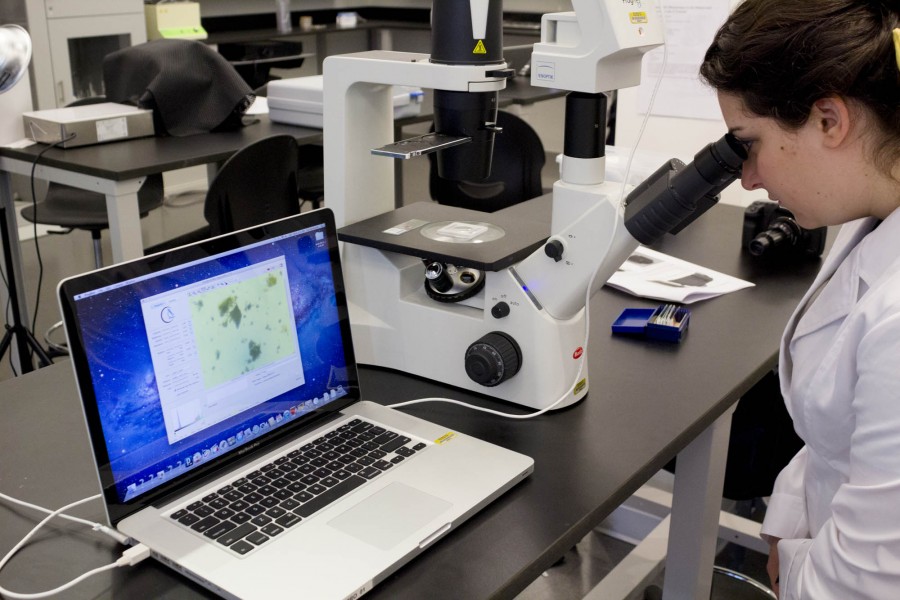 Using a microscopic imaging station, a student observes the live view of a water sample on a laptop