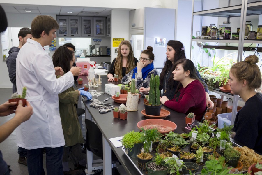 Students gathered around a table of plants, receiving instructions during a workshop on grafting cacti