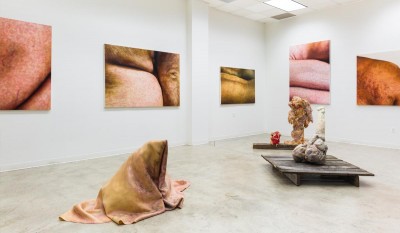 Installation view of prints of organic shapes with skin-like color and other sculptures with organic shapes.
