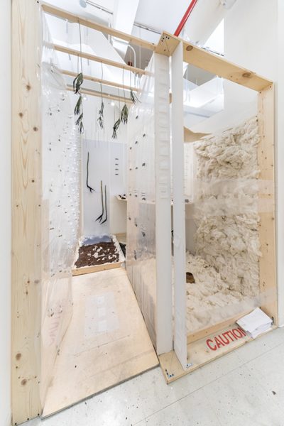 Installation view of artwork by Francesse Dolbrice. Fabricated wooden structure, soil placed on the floor and wooden structure, stalks of plants hanging on the wall, cotton filler material lining a wooden structure and clear sheets of plastic with object attached.