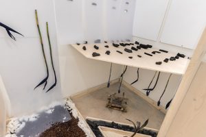 Installation view of artwork by Francesse Dolbrice. Fabricated wooden structure, soil placed on the floor and wooden structure, stalks of plants hanging on the wall.