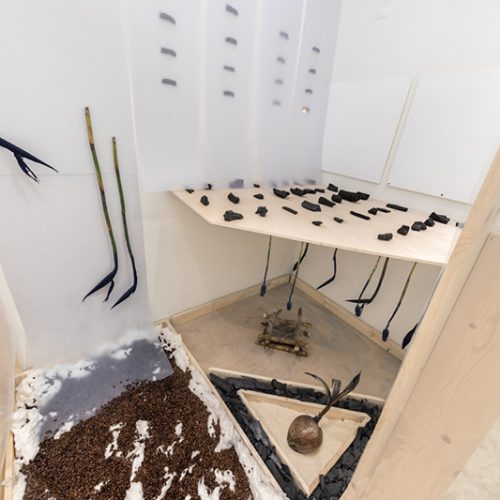 Installation view of artwork by Francesse Dolbrice. Fabricated wooden structure, soil placed on the floor and wooden structure, stalks of plants hanging on the wall.