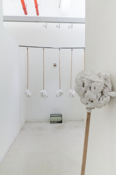Installation view of ceramic sculptures made on  wood sticks hung on a wall and an aquarium on the floor with organic objects in it