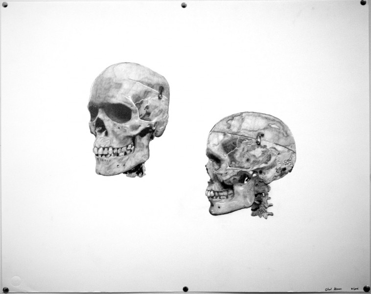 A painting representing a skull in two positions, one slightly at an angle view, and the other side view with the eyes, nose, and mouth on the left side and the back-head on the right side