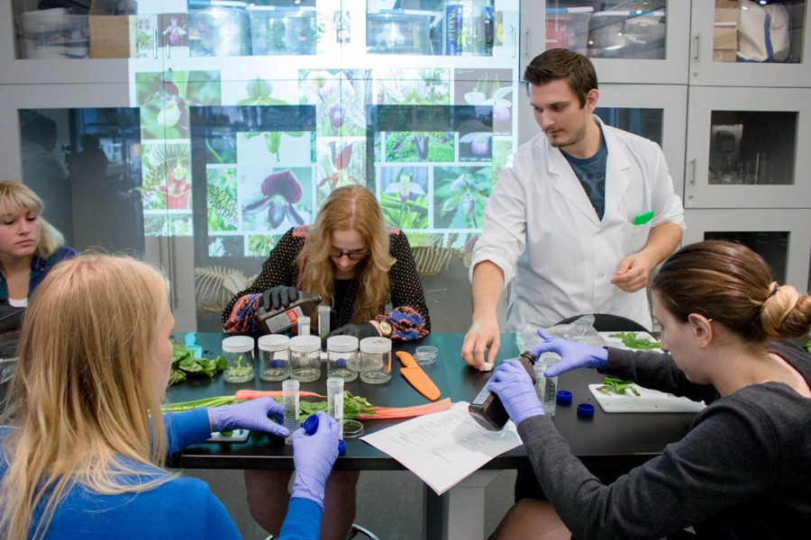 Professor guiding students on how to work, and two girls are pouring substances in recipients where they put fragments of plants Bio Lab. SVA BFA Fine Arts