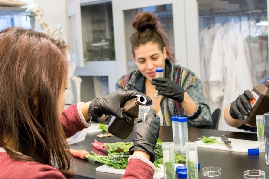 A close-up photograph shows how a student fills up a recipient with a chemical substance to preserve the plant leaf at Bio Lab. SVA BFA Fine Arts.
