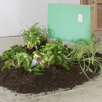 A pile of soil on the floor with green plants on it.