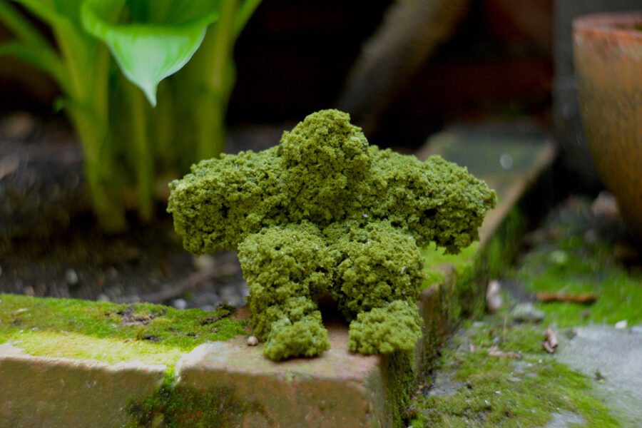 Small man made of moss sitting on ground next to a green plant.