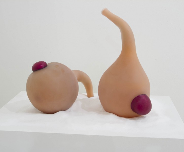 Two round-shaped objects are made of silicone and foam with nude color, and each shape has a round dark pink button