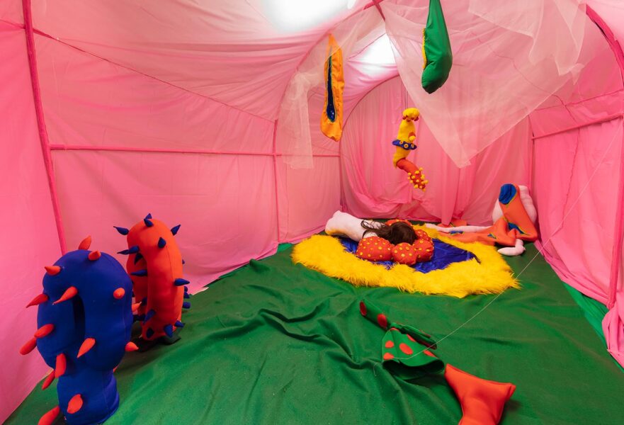 Interior shot of an installation made of pink fabric with plush red and blue cactus objects.