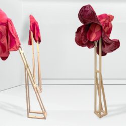 Mackettes of wooden stands with red paper flowers.