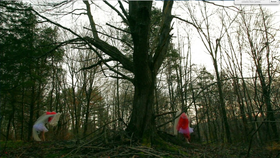 A still from a movie representing trees without leaves and one big tree in the middle of the frame with a person dressed in white and vail on the left side and a person dressed in bright pink and orange on the right side.
