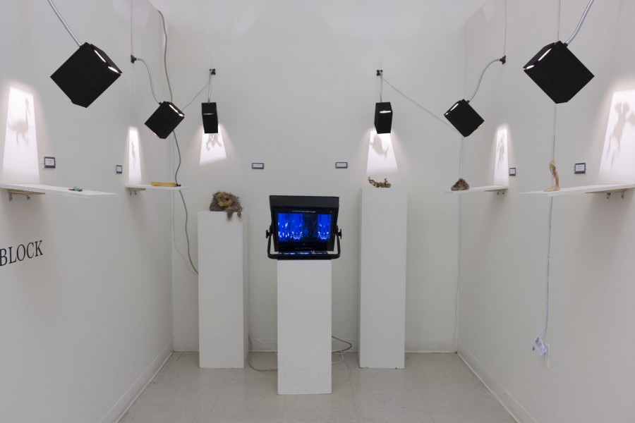 Installation view of organic shape sculptures installed each on its shelf, with a light casting a shape above it on the wall