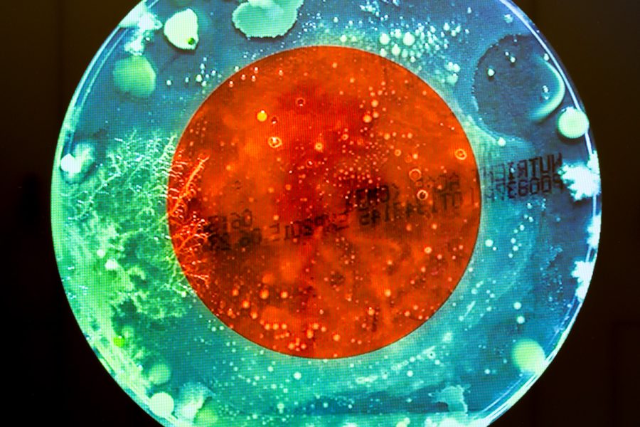Petri dish with various biomorphic textures, there is a red/orange circle in the middle of the petri dish surrounded by a ring of blue, there is small blurry black text printed across the petri dish that mimics expiration dates you see on containers.