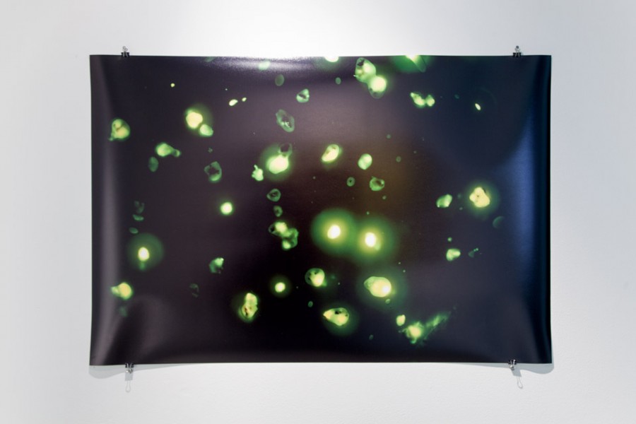 A print of green organic materials on a black background.