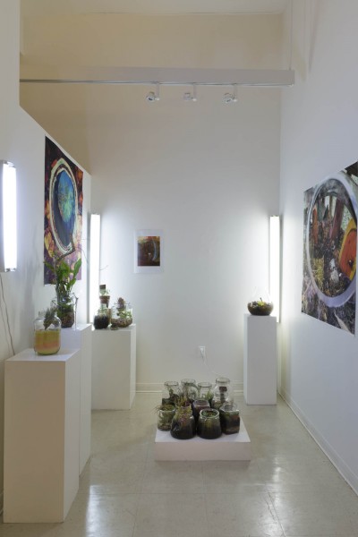 Installation view of two prints installed on the left and right wall, three white LED lights in each corner of the room,  big jars filled with dirt, and green organic plants in them