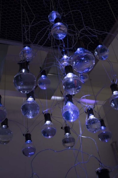 Low angle view of lightbulb-shaped aquariums hung on the ceiling with a small blue LED lights.