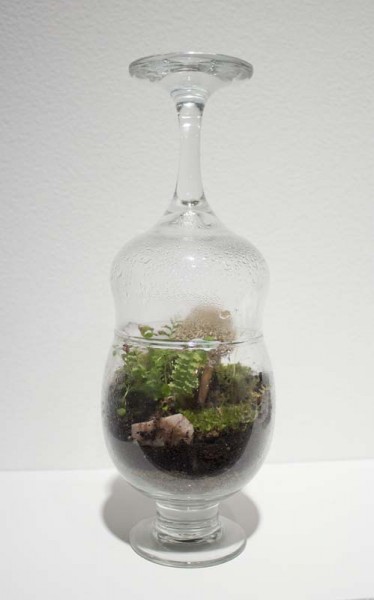 A small terrarium made in glass with green plants, dirt, and other organic materials is coved with a taller glass.