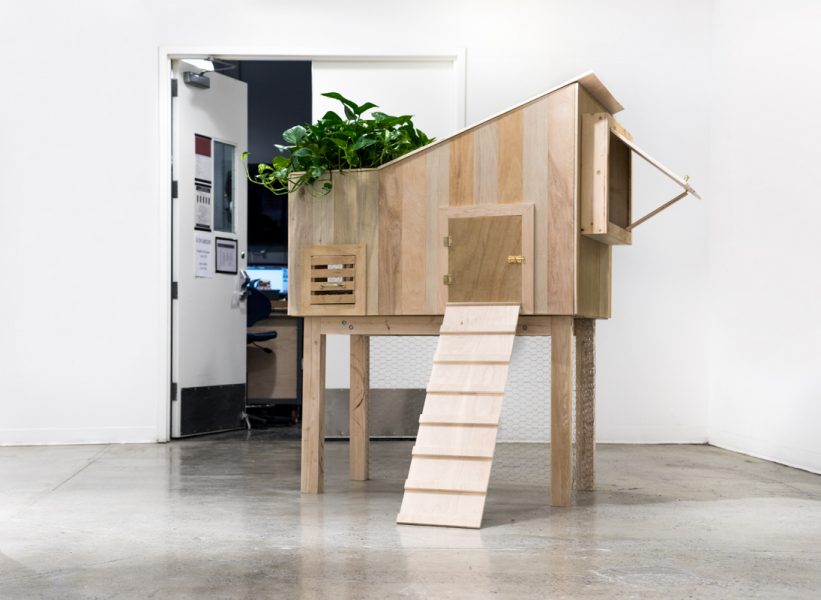 Installation view of artwork by Kirin Pino. A fabricated wooden chicken coup with a plant coming out of the top.