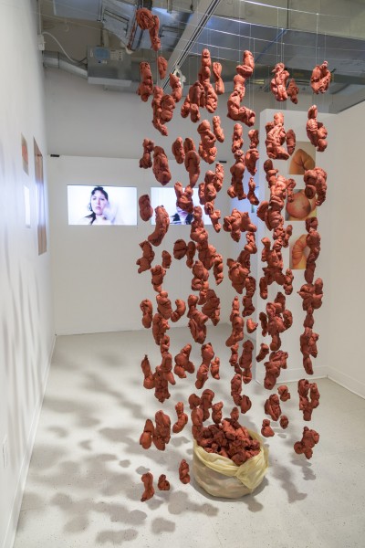 Soft sculpture made out of red organic-shaped pieces hanging from invisible wires.