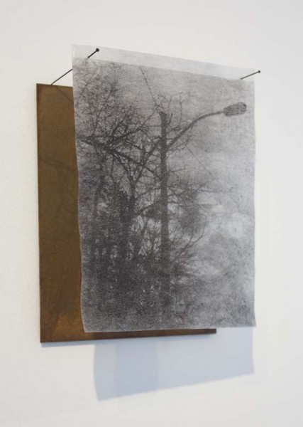 Image projection of a street light fixture and a bunch of trees on a semi-transparent material mounted with two long nails in front of a brown bord on the wall
