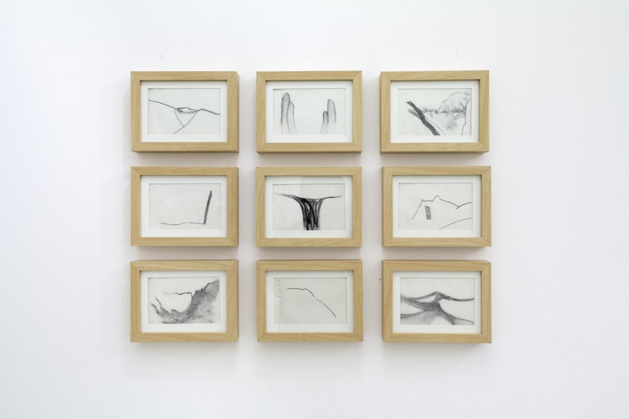 Grid of nine graphite drawings of rounded organic shapes in wooden frames hung on the wall