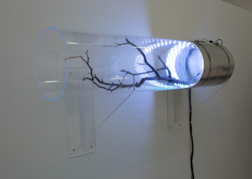 A small branch is inserted in a transparent plastic tube with a blue light source on one side of the tube. The structure is mounted on a wall.