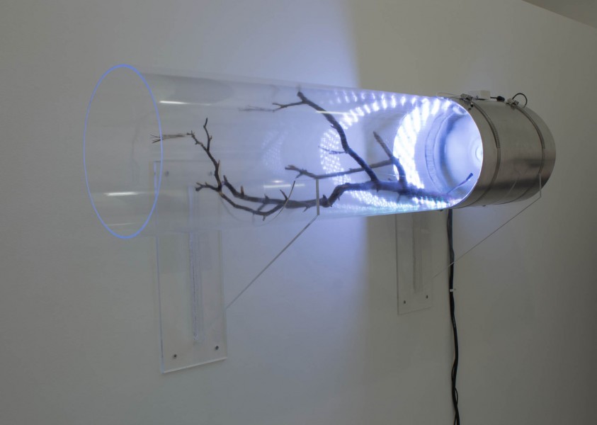 A small branch is inserted in a plexiglass tube with a blue light source on one side of the tube. The structure is mounted on a wall.