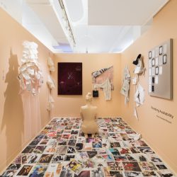 Installation view of artwork by Maria Barquet. Two mixed media paintings, Cloth attached with thread attached to the wall, two sculptures made of cut cloth squares that are suspended from the ceiling, various torn pages from magazines arranged in a grid covering the floor and large flesh toned sculpture of a woman sitting meditating toward the rear of the space.
