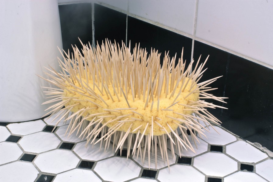 A yellow sponge with many toothpicks inserted in it is placed on the white and black tails on a bathroom floor.