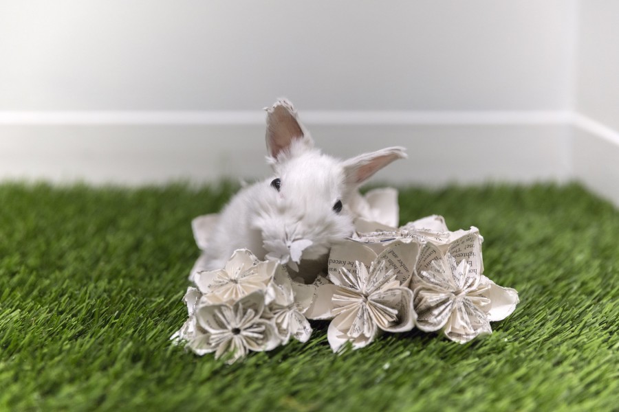 Close-up view of a small stuffed white rabbit with a few floral shapes on a fake grass floor.