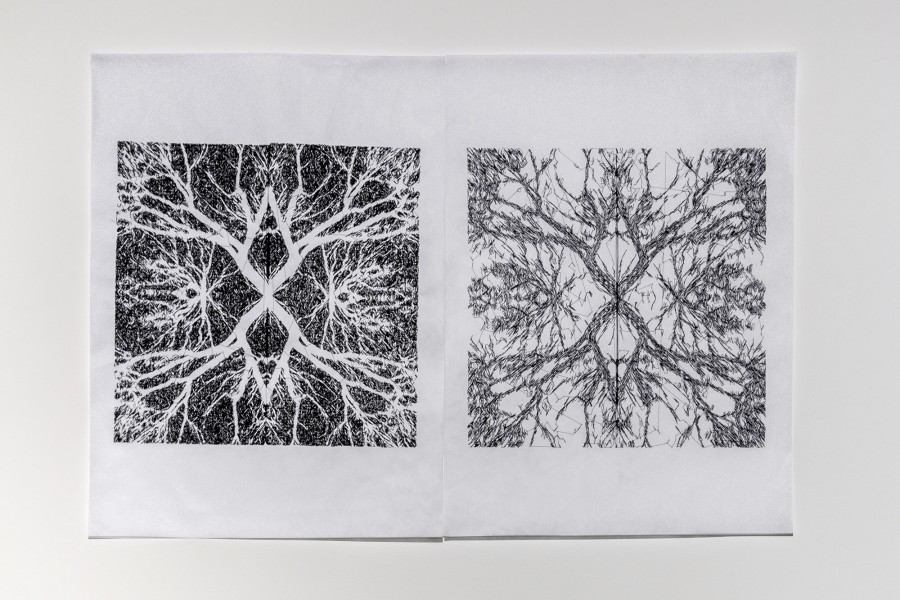 A drawing of abstract shape in black and white, side by side with the same illustration in inverted colors.
