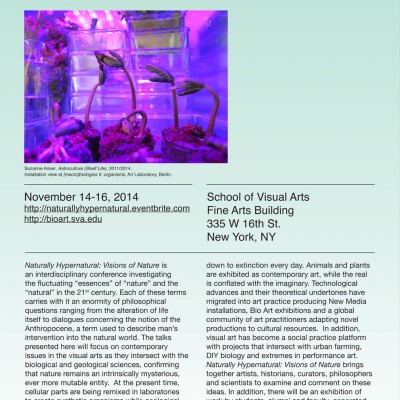 An advertisement for the exhibition titled Naturally Hypernatural: Visions of Nature, at the School of Visual Arts Fine Arts Building, 335W 16th St. New York. The exhibition is on view from November 14 to 16, 2014.