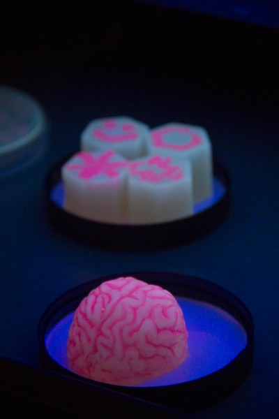 A small representation of a brain with pink lines on a blue surface in a black container and other objects in the background.