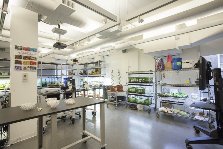 Overview of the Bio lab with tables, preservation containers, plants, and tools.