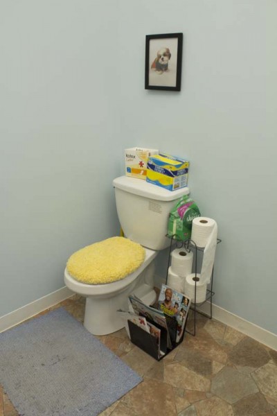 Installation view of a toilet with yellow fabric on the cover, toilet paper and a magazine holder with a few magazines, a blue matt in front of the toilet, a puppy print hung in the wall with a black frame, and the toilet is positioned in the corner of the room
