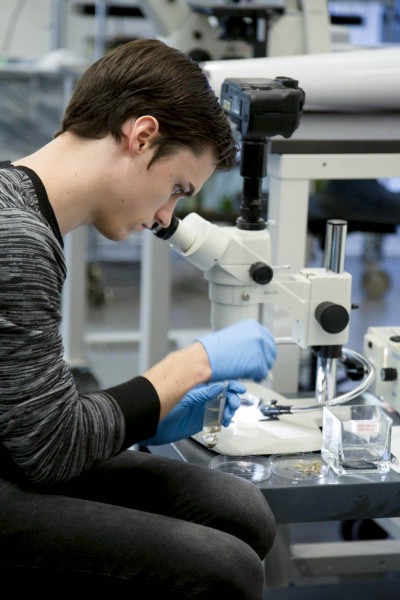 The student is working with substances in a lab tube near a white microscope.