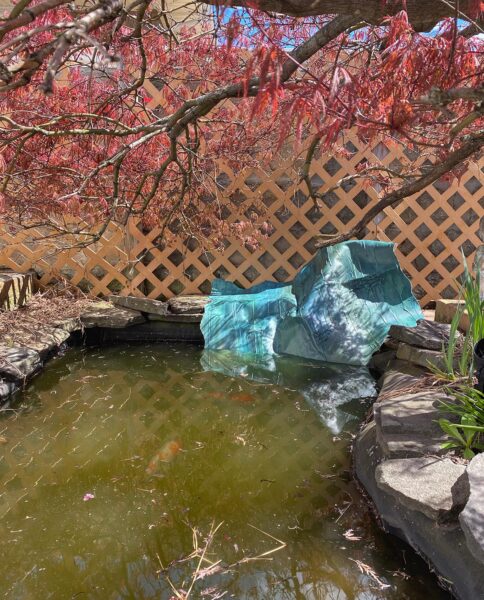 An artwork by Sharon Reitz titled "Connected." The work consists of un-stretched, blue oil painting half submerged in a backyard pond.