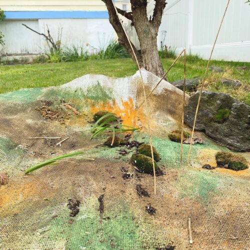 An artwork by Sharon Reitz titled "Feeling Content" consisted of a painting on burlap with live moss and plants. The burlap is installed on a backyard lawn.