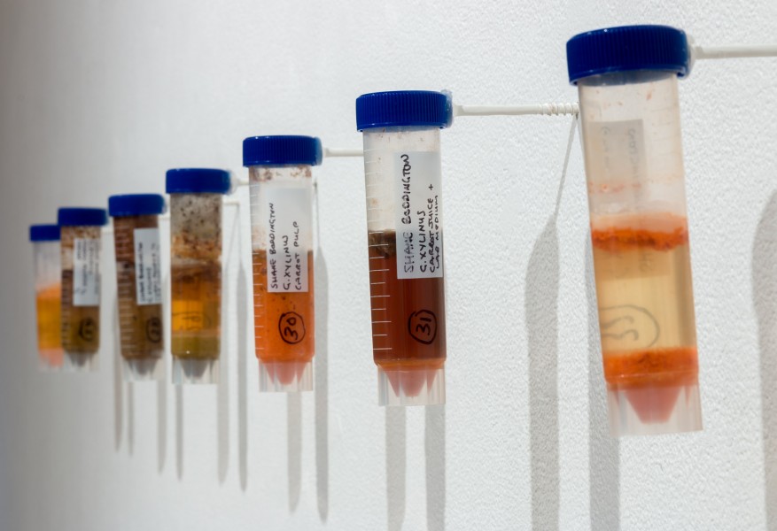 A view of seven plastic lab containers with gradation on them and containing different substances.